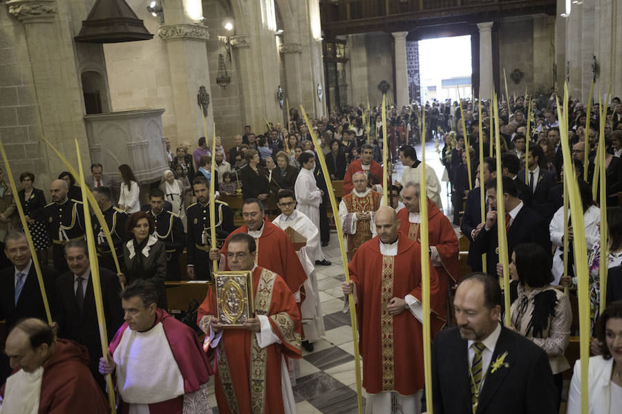 Domingo de Ramos en Alicante