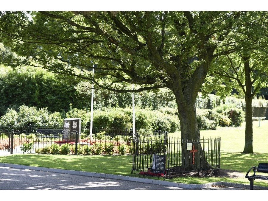 El árbol de la paz (Irlanda del Norte). 