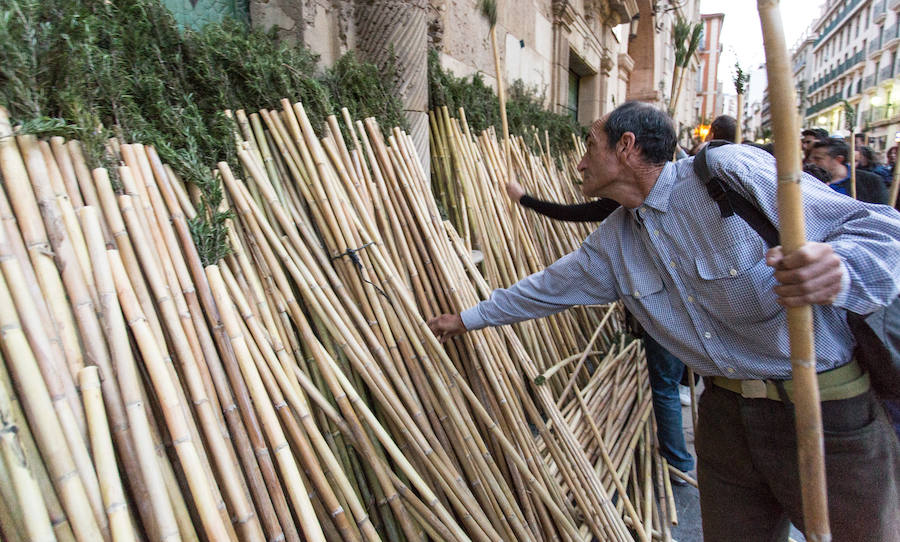 Miles de romeros participan en la Peregrina (II)