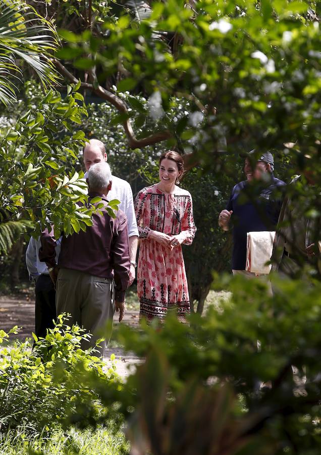 Los duques de Cambridge disfrutan de un safari en la India