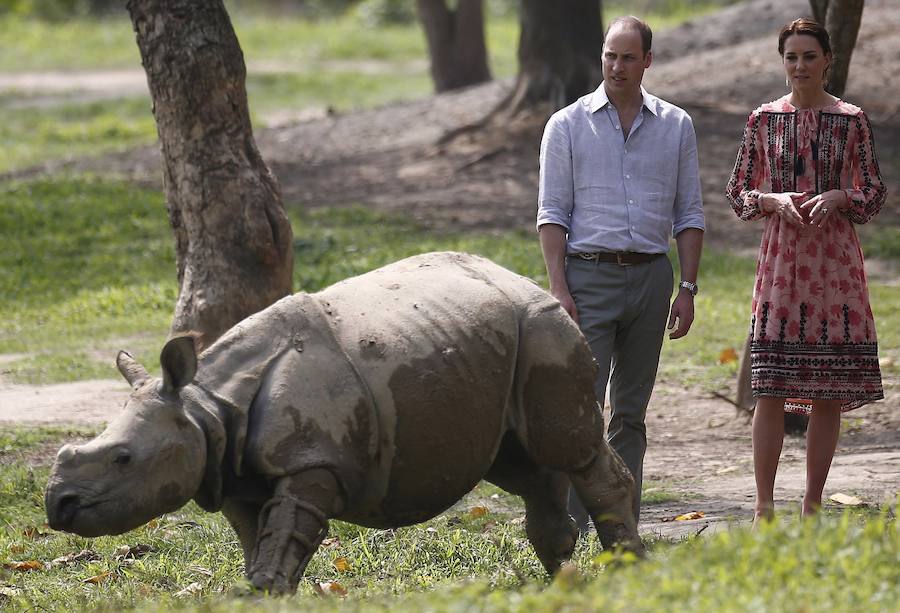 Los duques de Cambridge disfrutan de un safari en la India