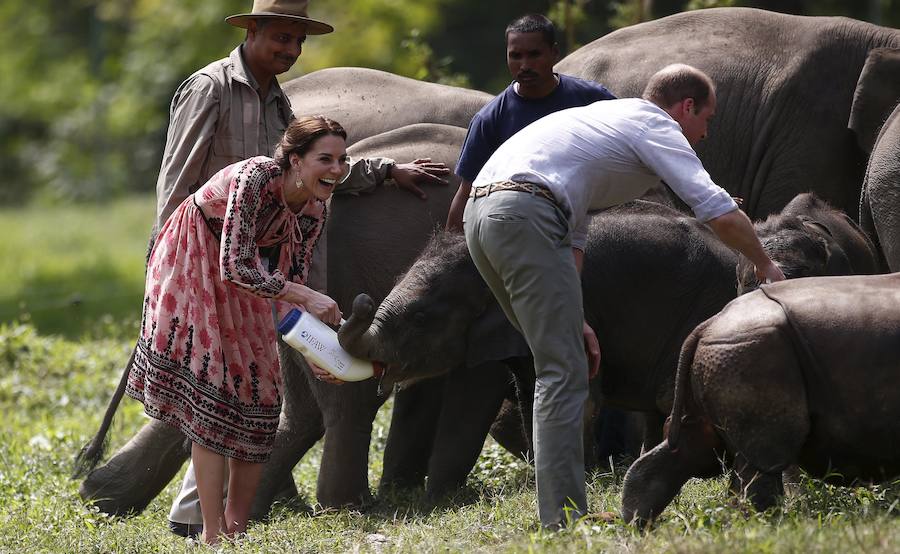 Los duques de Cambridge disfrutan de un safari en la India