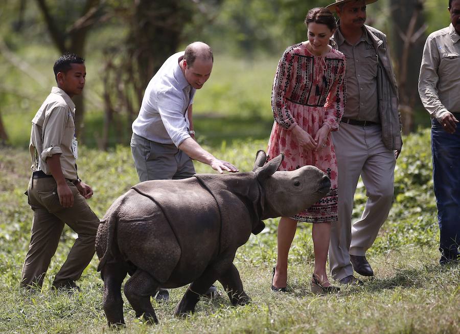 Los duques de Cambridge disfrutan de un safari en la India
