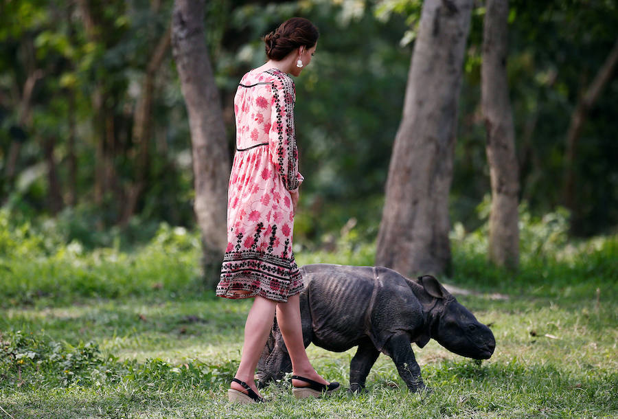 Los duques de Cambridge disfrutan de un safari en la India