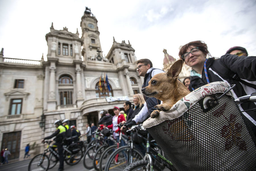 Bicifestación en Valencia