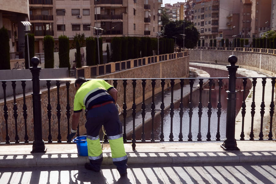 La CHS investiga un vertido de color rojo en el río Segura