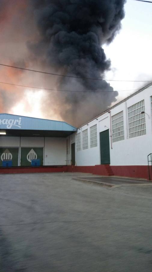 Espectacular incendio en una cooperativa de Alginet