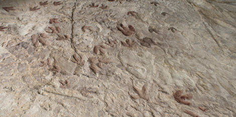 Yacimientos de dinosaurios cerca de Valencia