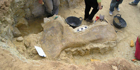 Yacimientos de dinosaurios cerca de Valencia