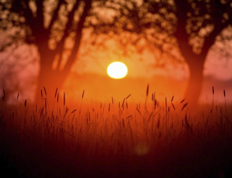 Vista del amanecer a orillas del río Oder, en Brandeburgo (Alemania).