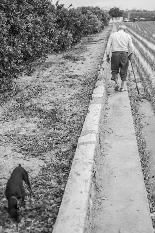 Jacinto, una vida dedicada a la huerta