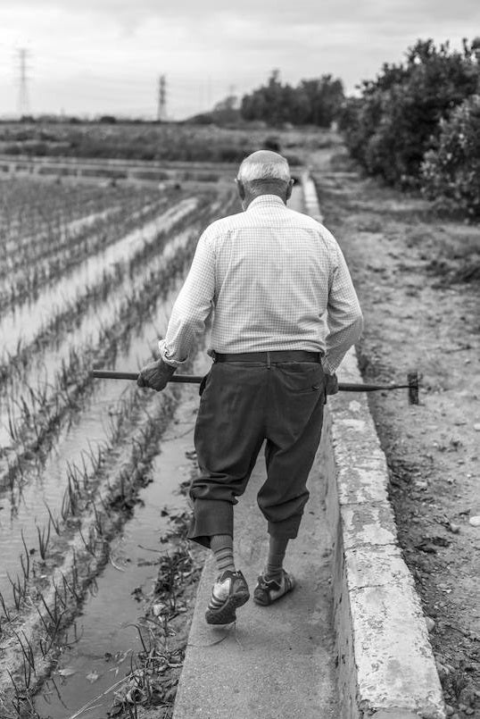 Jacinto, una vida dedicada a la huerta