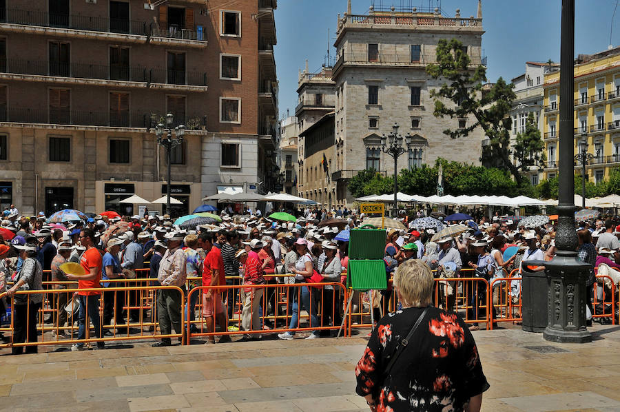 Fotos del Besamanos a la Virgen de los Desamparados