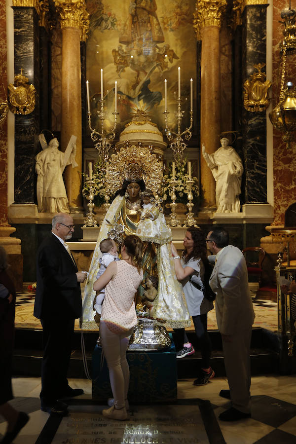 Fotos del Besamanos a la Virgen de los Desamparados