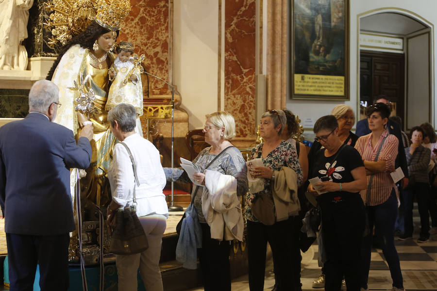 Fotos del Besamanos a la Virgen de los Desamparados