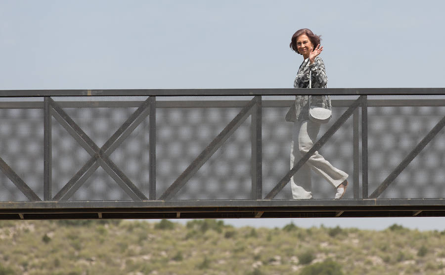 La Reina Sofía inaugura las instalaciones de felinos de Primadomus en Villena