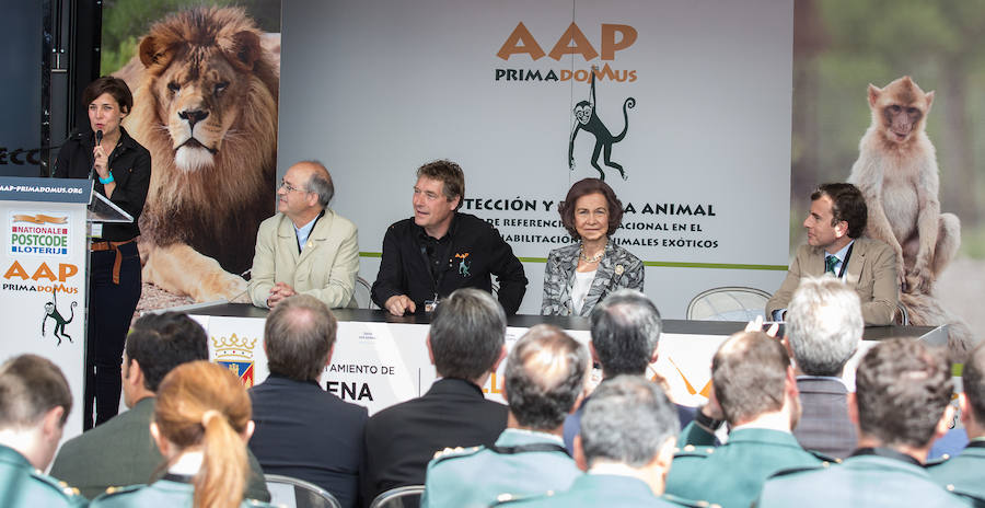 La Reina Sofía inaugura las instalaciones de felinos de Primadomus en Villena