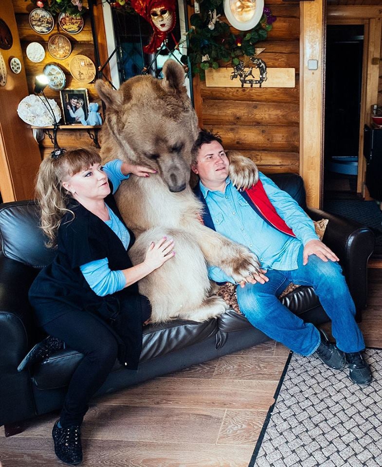El oso más humano