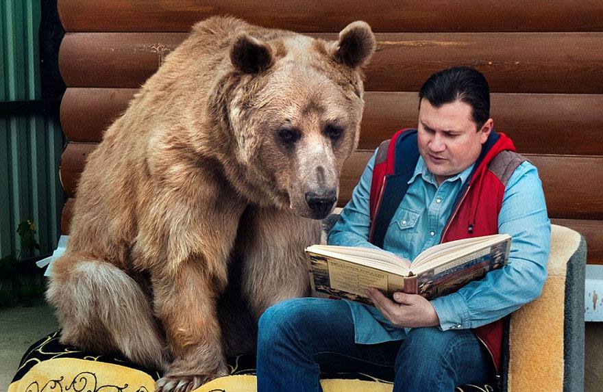 El oso más humano