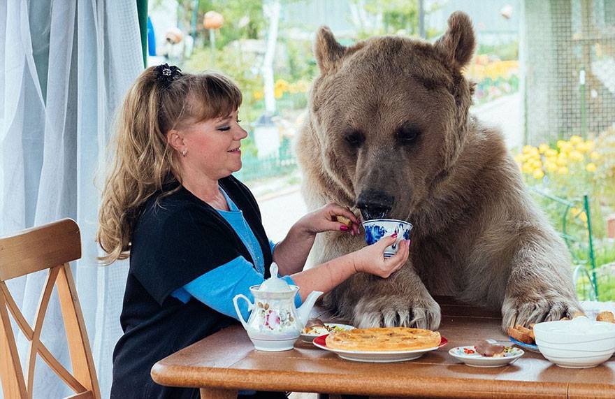 El oso más humano