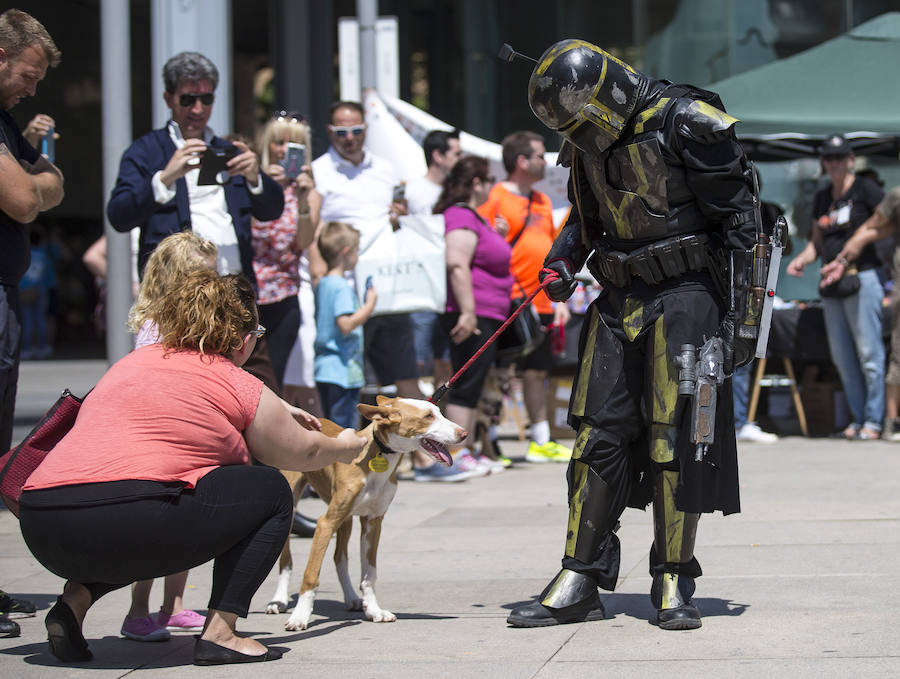 La asociación protectora de perros y gatos Felcan ha organizado en Torrent una pasarela de perros en adopción acompañados por los personajes de la saga de la 'Guerra de las Galaxias'.