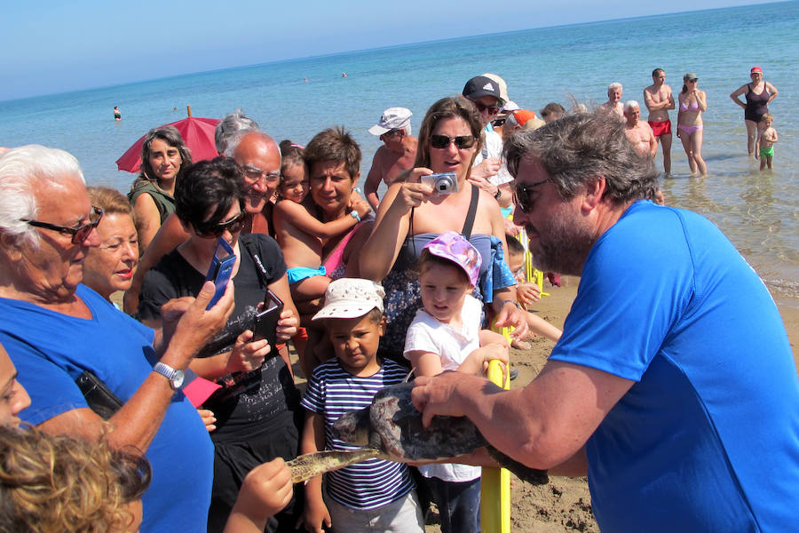 Dos tortugas regresan al mar en Dénia