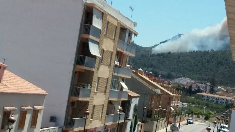 Fotos del incendio forestal de Faura