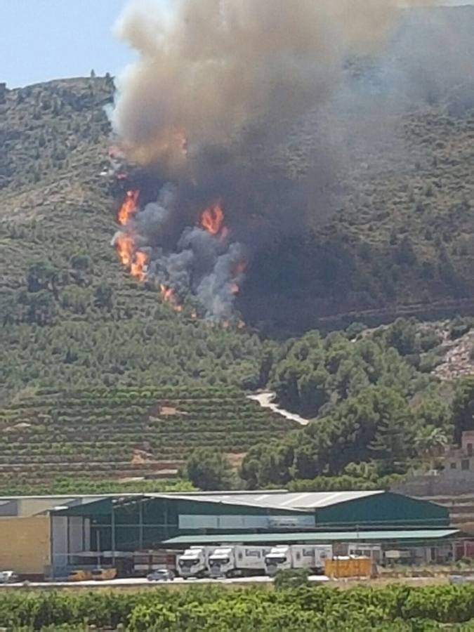 Fotos del incendio forestal de Faura