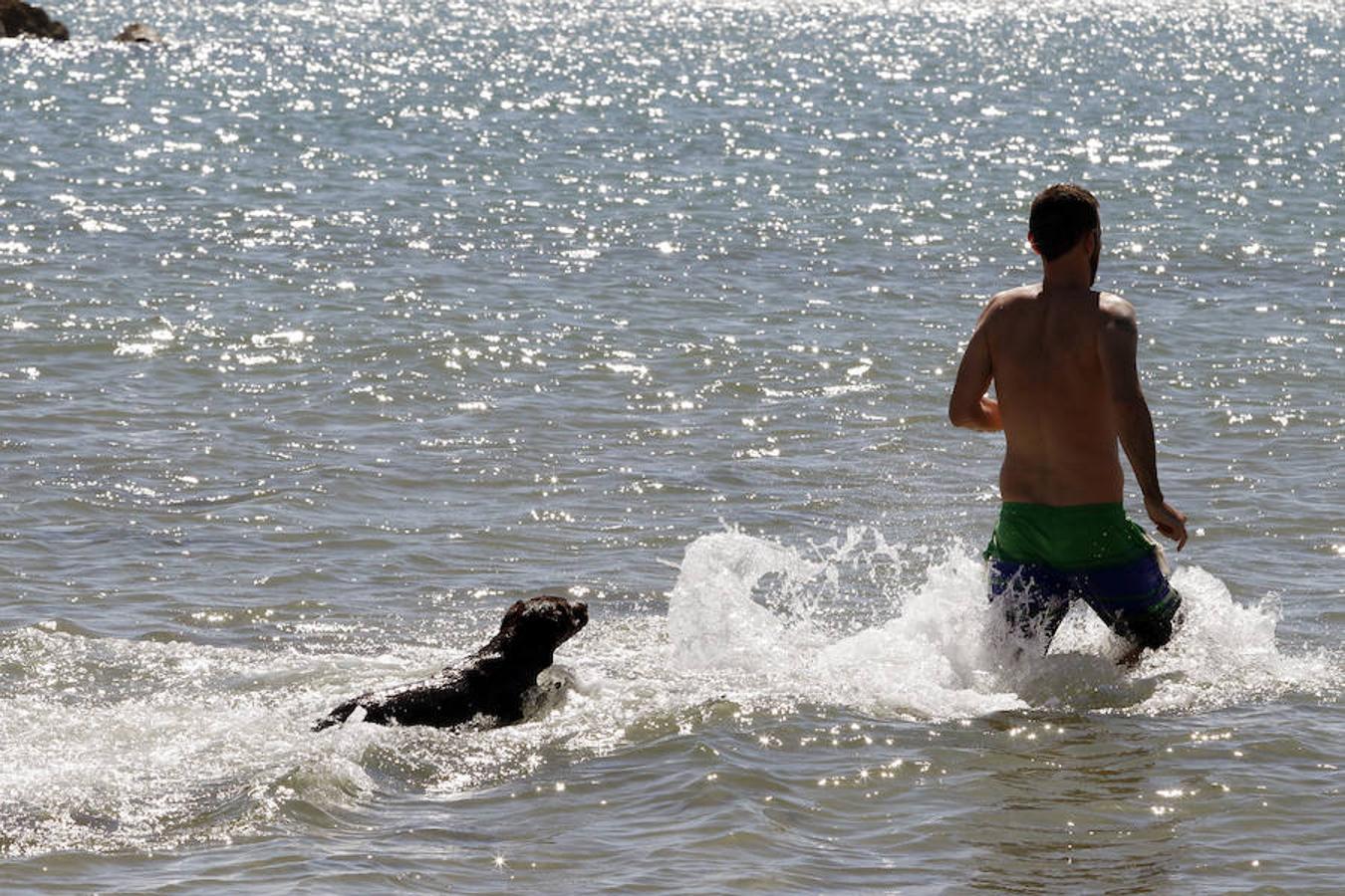 Fotos de la playa de perros en Pinedo