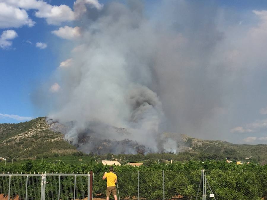 Fotos del incendio de Carcaixent (16/06/2016)