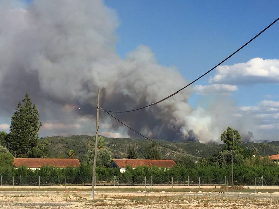 Fotos del incendio de Carcaixent (16/06/2016)