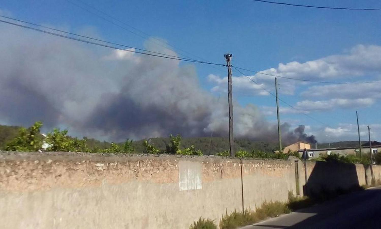 Fotos del incendio de Carcaixent (16/06/2016)