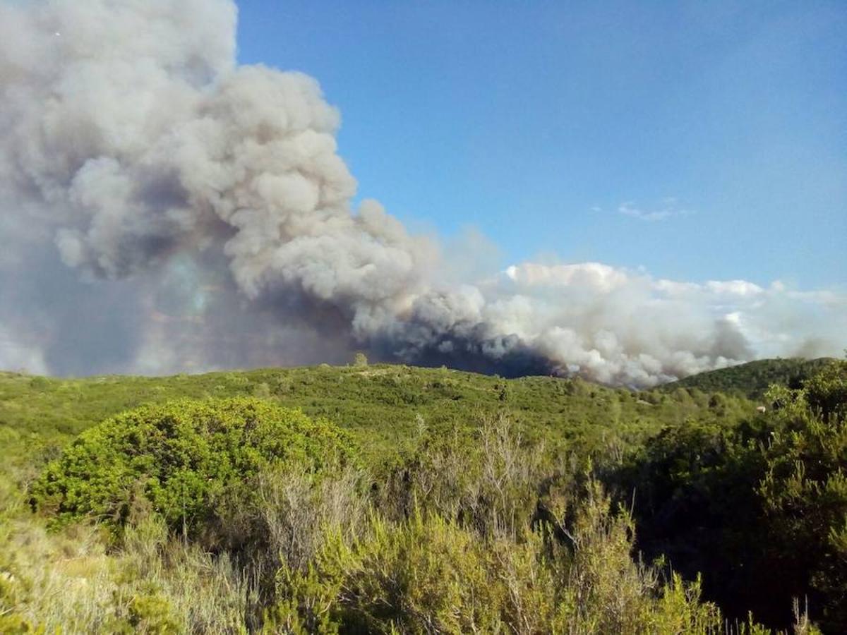 Fotos del incendio de Carcaixent (16/06/2016)