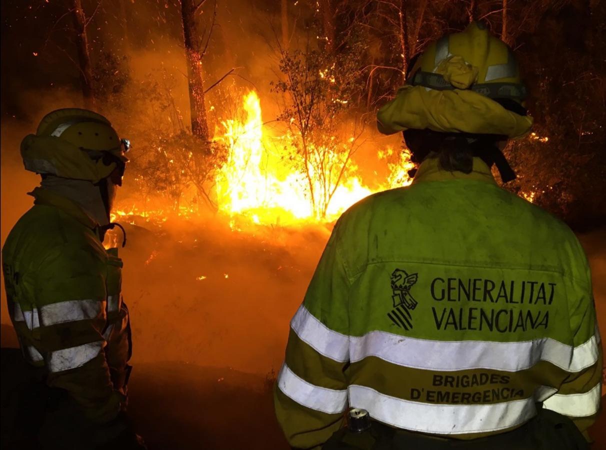 Incendio en Carcaixent (17-06-2016).