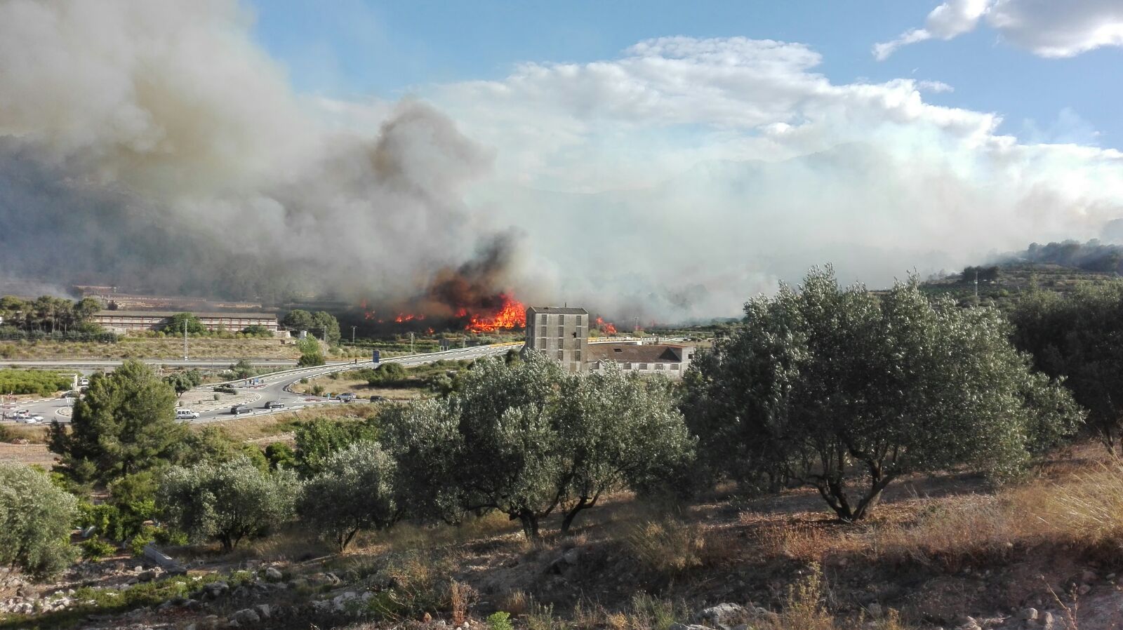 Fotos del incendio en Terrateig (16-06-2016)