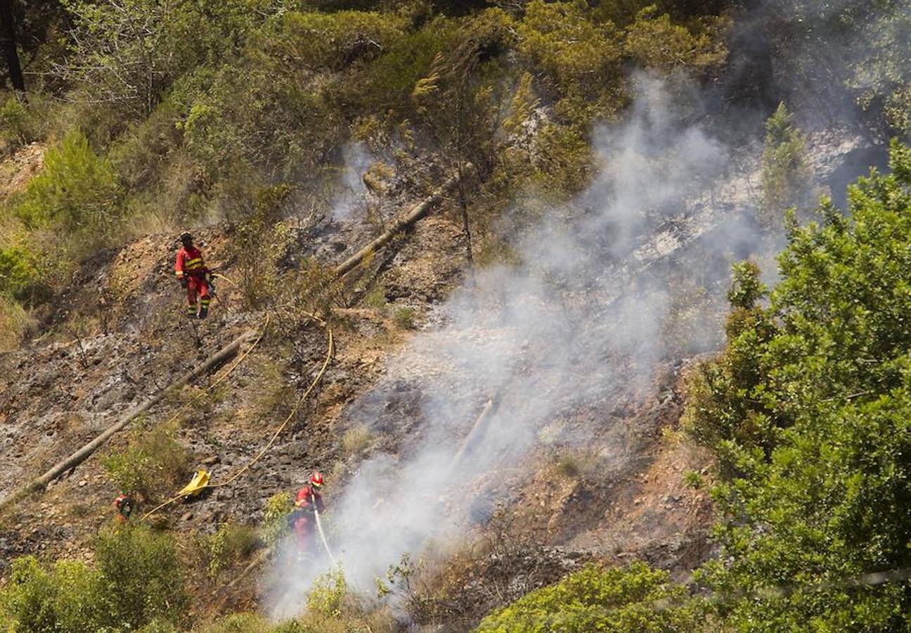 Fotos del incendio de Carcaixent (17-06-2016) II