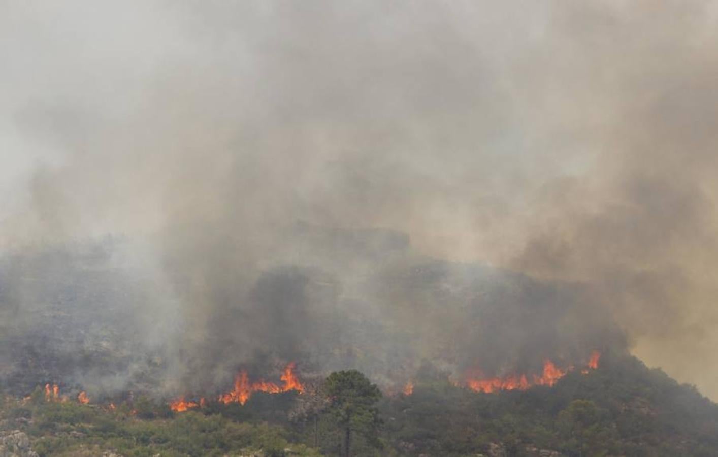 Fotos del incendio de Carcaixent (17-06-2016) II