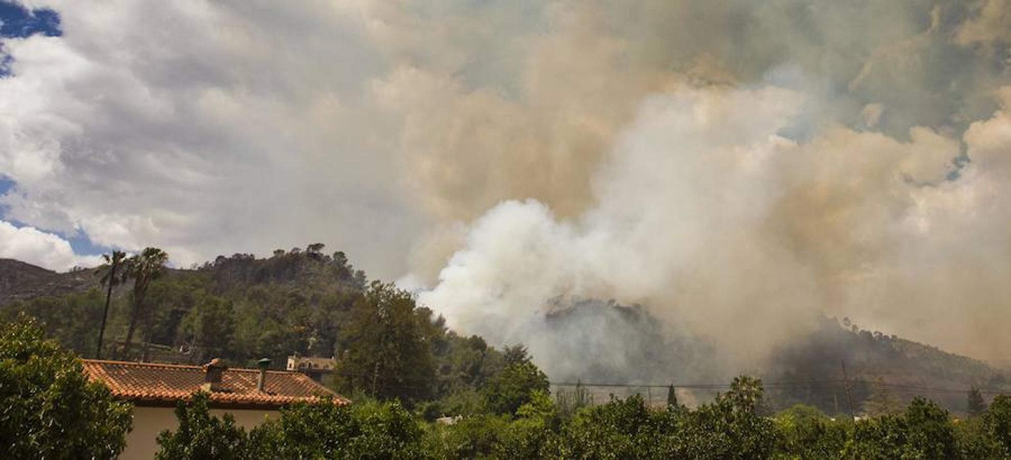 Fotos del incendio de Carcaixent (17-06-2016) II