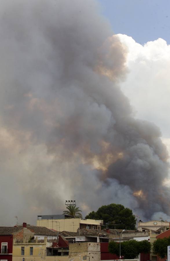 Fotos del incendio de Carcaixent (17-06-2016) II