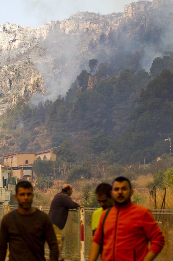 Fotos del incendio de Carcaixent (17-06-2016) II