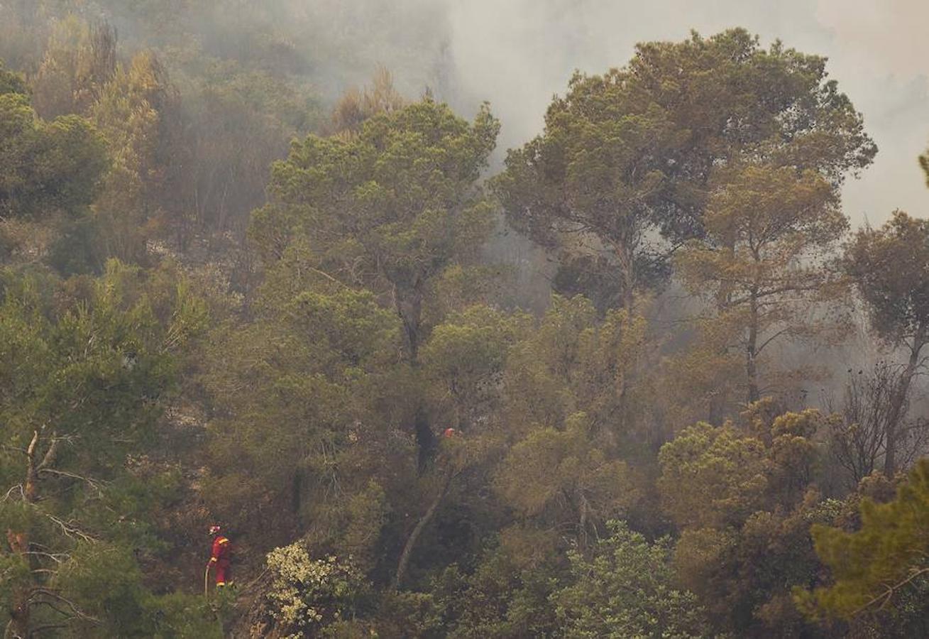 Fotos del incendio de Carcaixent (17-06-2016) II