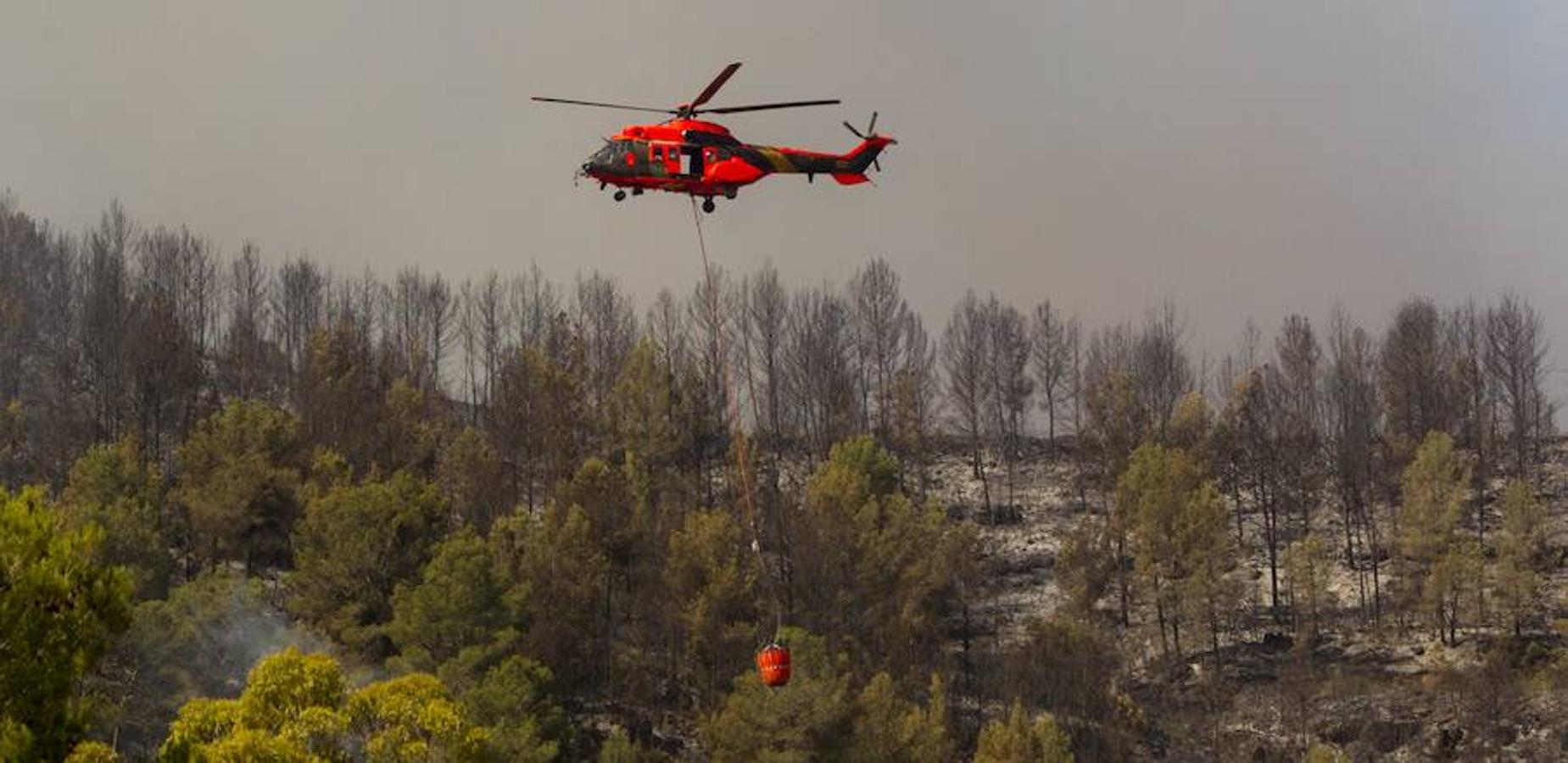 Fotos del incendio de Carcaixent (17-06-2016) II