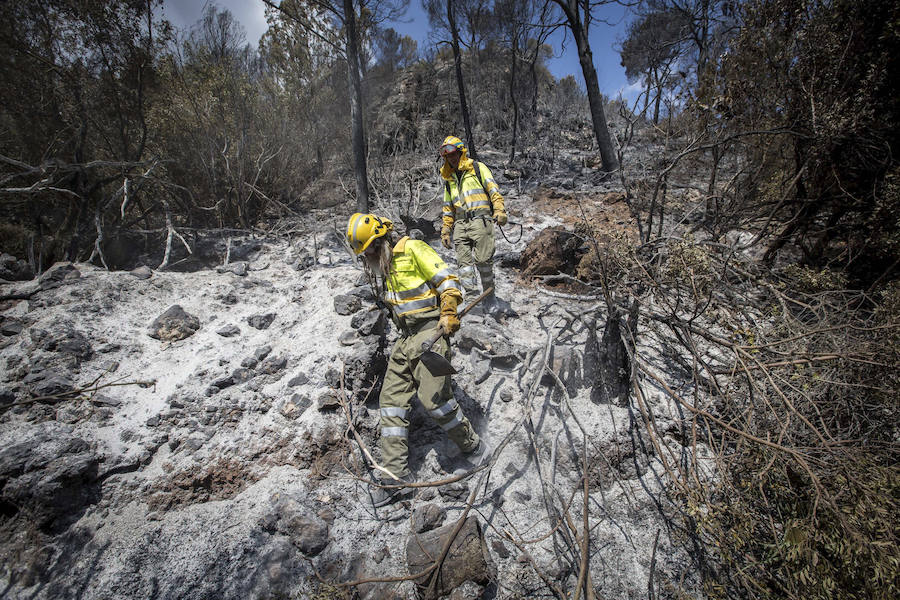 Fotos del incendio de Carcaixent (17-06-2016) II