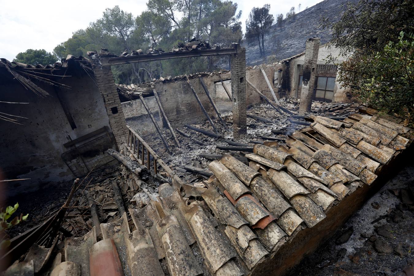 Fotos del incendio de Carcaixent (sábado 18 de junio)