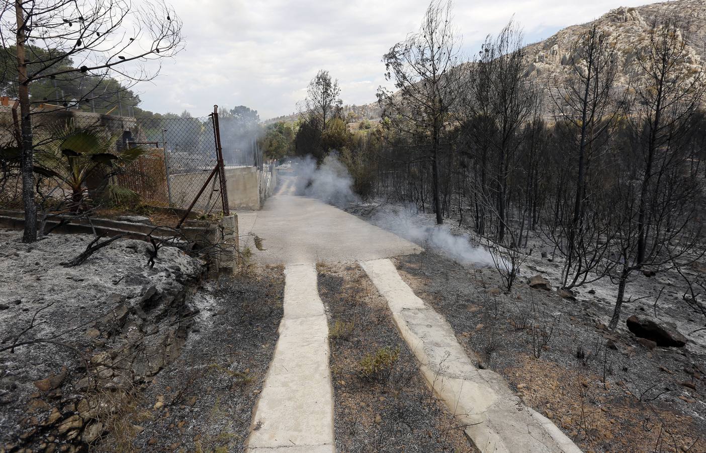 Fotos del incendio de Carcaixent (sábado 18 de junio)