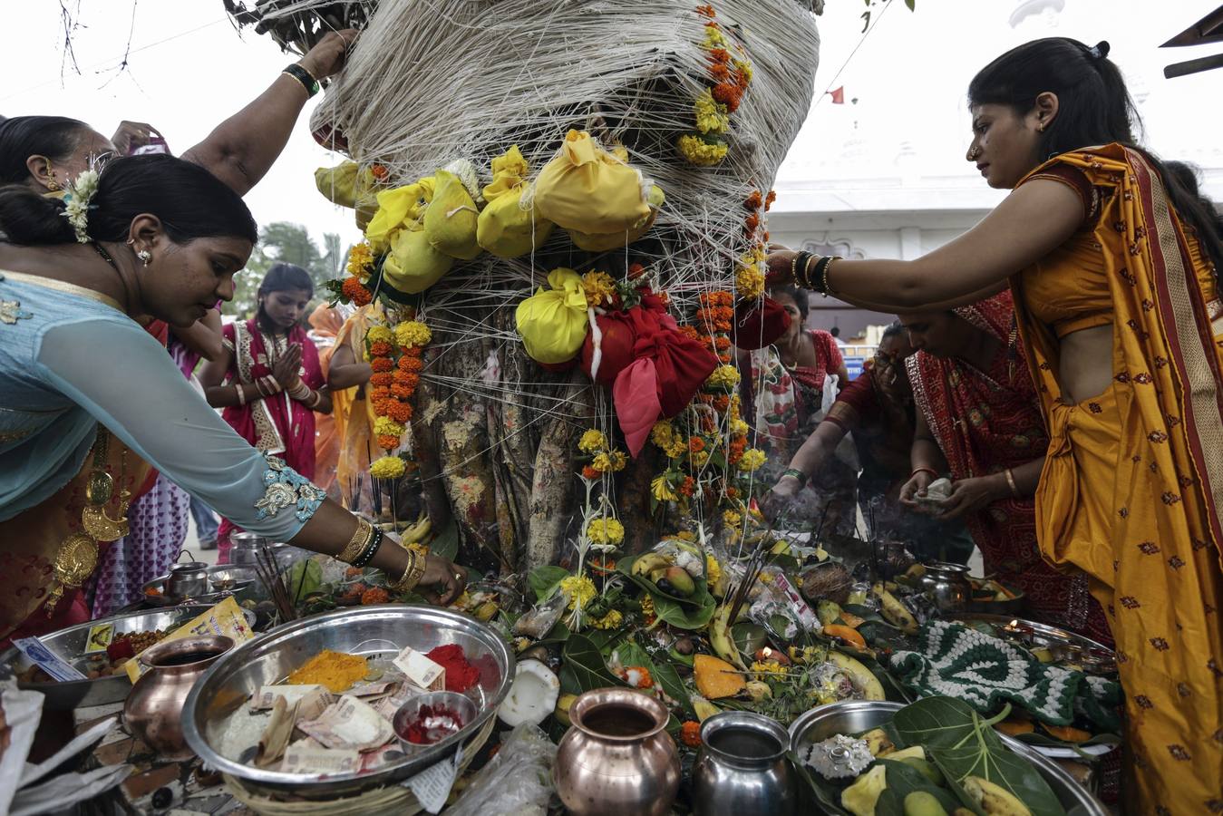 Plegaria en Bombay. Varias mujeres casadas piden junto al árbol de Banyan prosperidad y larga vida para sus maridos, plegaria tradicional realizada con motivo del Festival de Vat Savitri en Bombay, India, hoy 19 de junio de 2016.