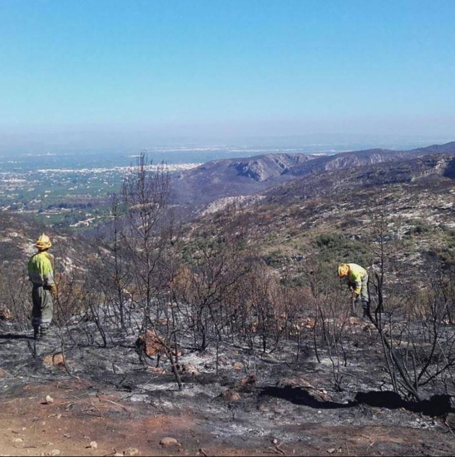 Fotos del incendio de Carcaixent (sábado 18 de junio)