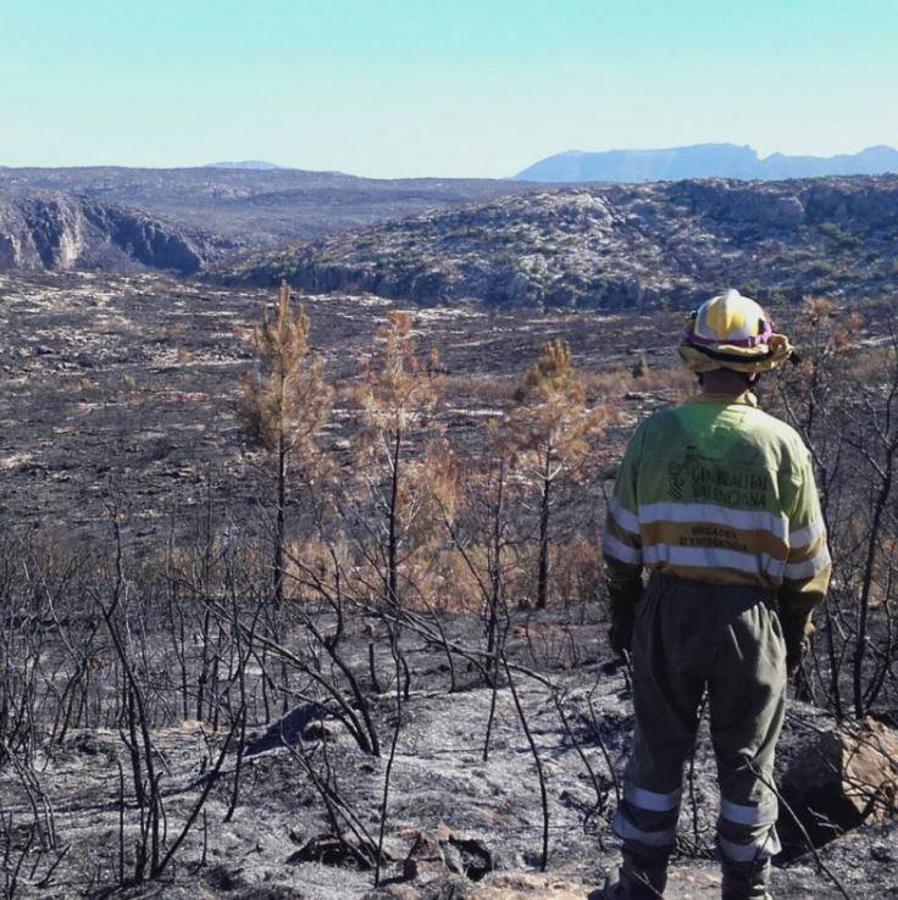 Fotos del incendio de Carcaixent (sábado 18 de junio)