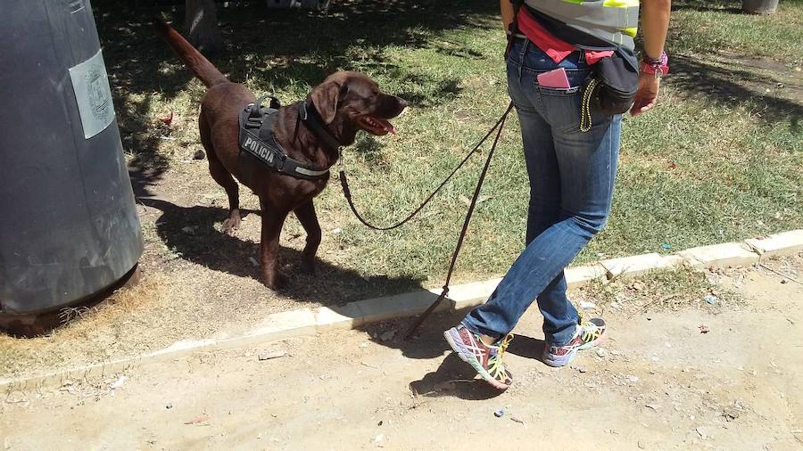 Máxima seguridad en la plaza de los Luceros