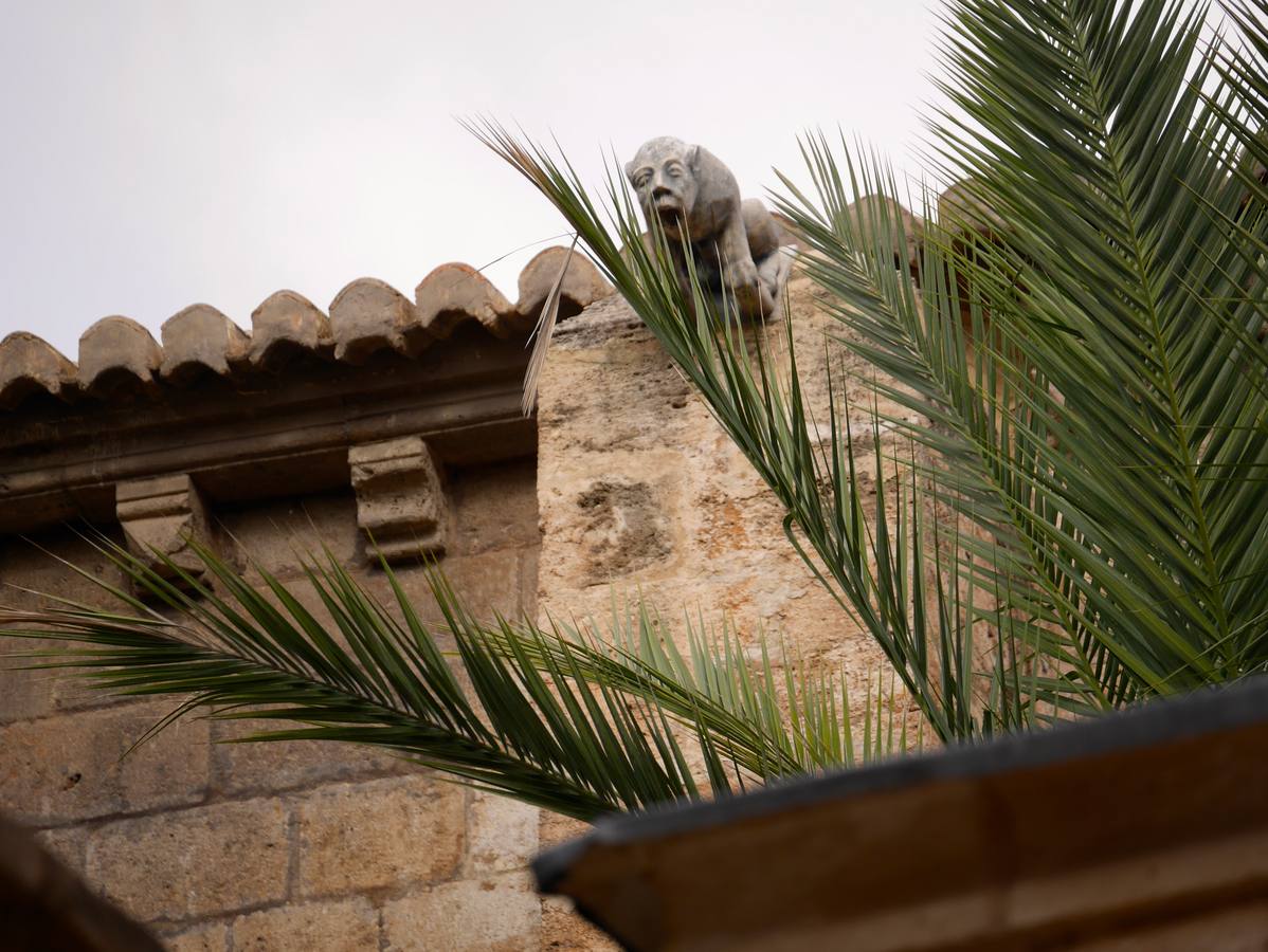 Fotos de la restauración de San Juan del Hospital de Valencia